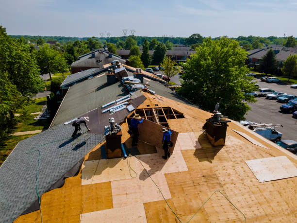 Best Residential Roof Replacement  in Scissors, TX