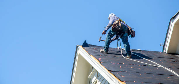 Best Roof Gutter Cleaning  in Scissors, TX